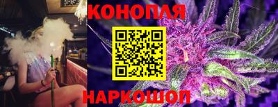 индика Будённовск