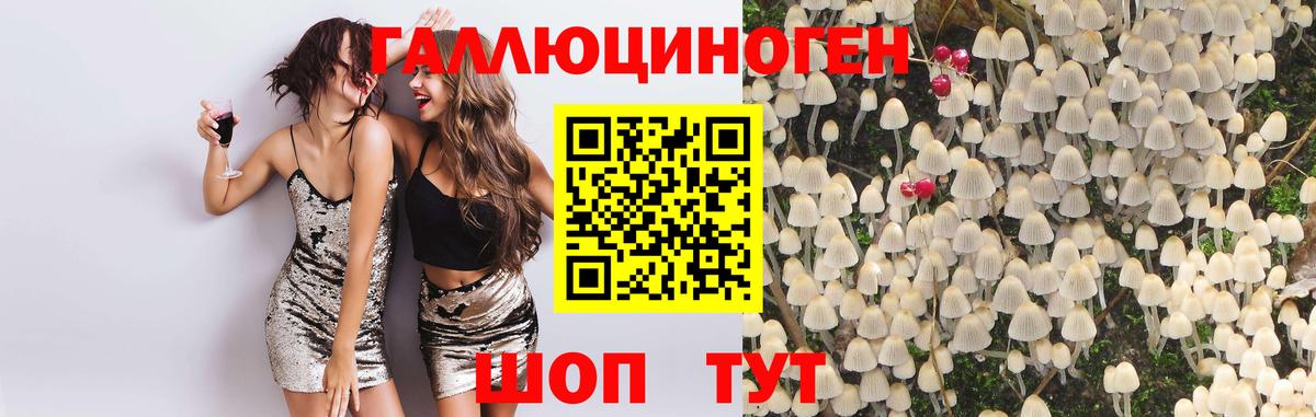 Псилоцибиновые грибы GOLDEN TEACHER  Вход с VPN  Тайшет 
